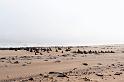 20090605_141124 D3 X1